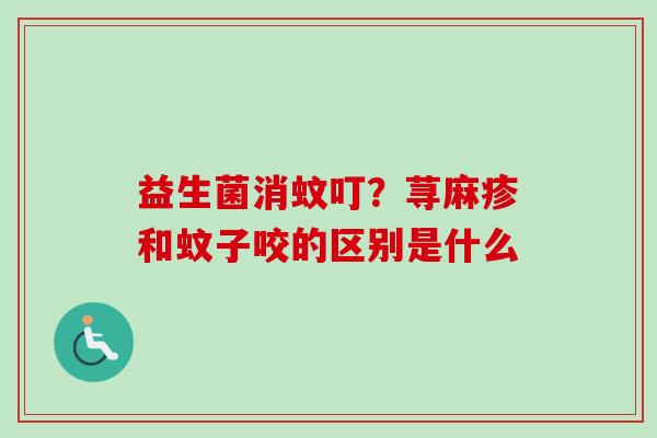 益生菌消蚊叮?荨麻疹和蚊子咬的区别是什么 益生菌消蚊叮?荨麻疹和蚊子咬的区别是什么