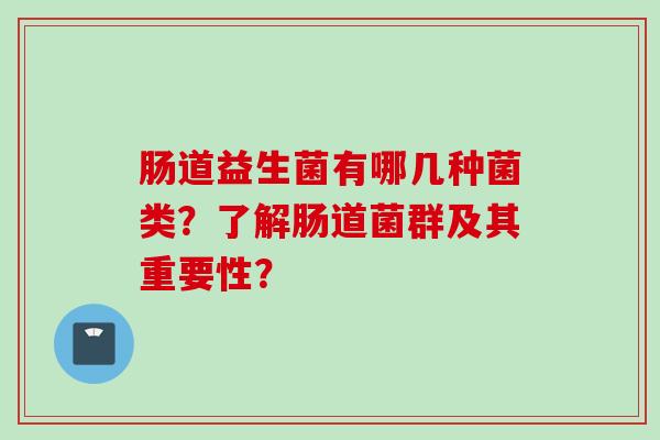 肠道益生菌有哪几种菌类？了解肠道菌群及其重要性？