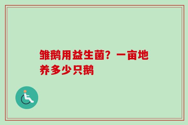 雏鹅用益生菌？一亩地养多少只鹅