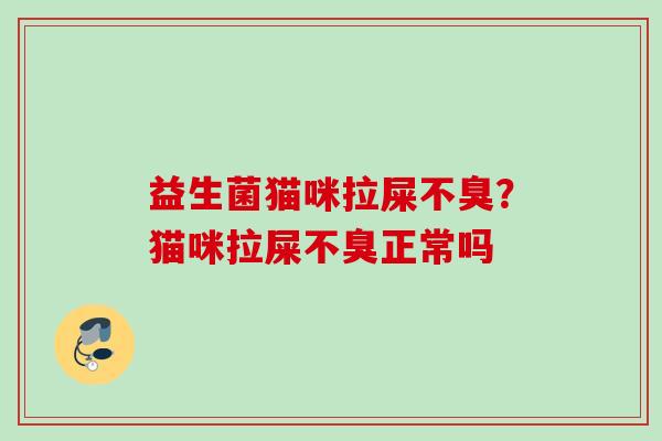 益生菌猫咪拉屎不臭？猫咪拉屎不臭正常吗