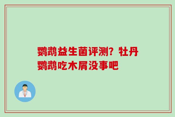 鹦鹉益生菌评测?牡丹鹦鹉吃木屑没事吧 鹦鹉益生菌评测?牡丹鹦鹉吃木屑没事吧