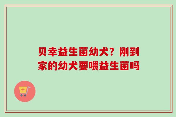 贝幸益生菌幼犬?刚到家的幼犬要喂益生菌吗 贝幸益生菌幼犬?刚到家的幼犬要喂益生菌吗