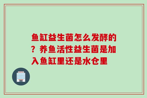 鱼缸益生菌怎么发酵的？养鱼活性益生菌是加入鱼缸里还是水仓里