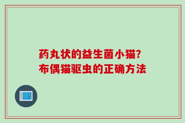 药丸状的益生菌小猫？布偶猫驱虫的正确方法