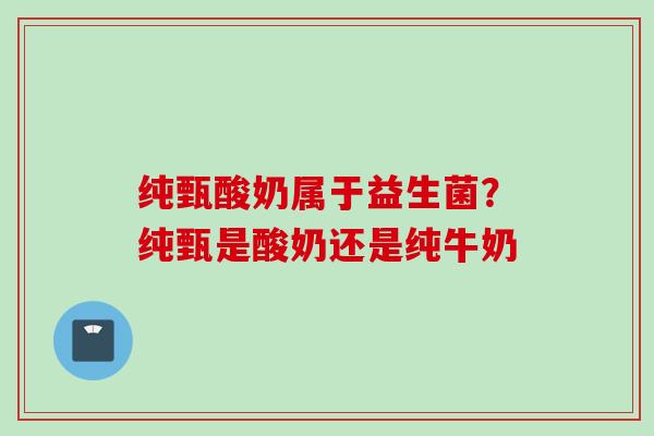 纯甄酸奶属于益生菌?纯甄是酸奶还是纯牛奶 纯甄酸奶属于益生菌?纯甄是酸奶还是纯牛奶