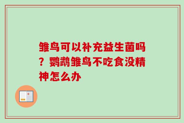 雏鸟可以补充益生菌吗？鹦鹉雏鸟不吃食没精神怎么办