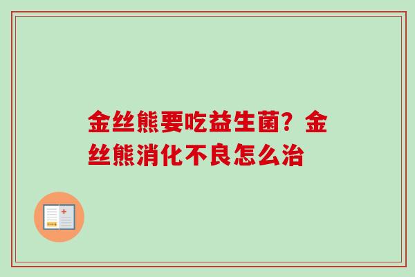 金丝熊要吃益生菌?金丝熊怎么 金丝熊要吃益生菌?金丝熊怎么