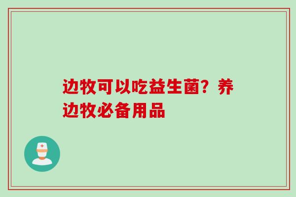 边牧可以吃益生菌？养边牧必备用品