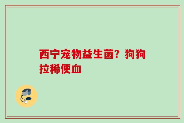 西宁宠物益生菌？狗狗拉稀便