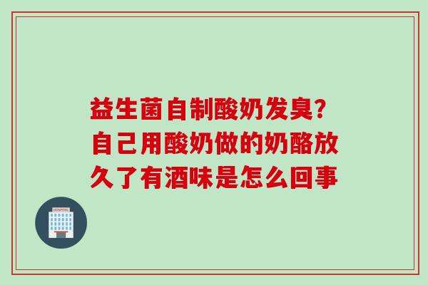 益生菌自制酸奶发臭?自己用酸奶做的奶酪放久了有酒味是怎么回事 益生菌自制酸奶发臭?自己用酸奶做的奶酪放久了有酒味是怎么回事