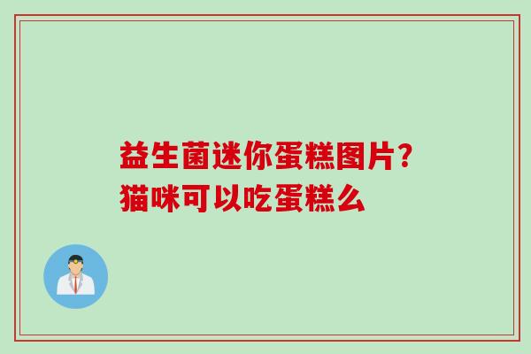 益生菌迷你蛋糕图片？猫咪可以吃蛋糕么