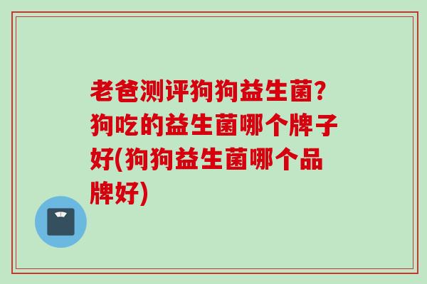 老爸测评狗狗益生菌?狗吃的益生菌哪个牌子好(狗狗益生菌哪个品牌好) 老爸测评狗狗益生菌?狗吃的益生菌哪个牌子好(狗狗益生菌哪个品牌好)