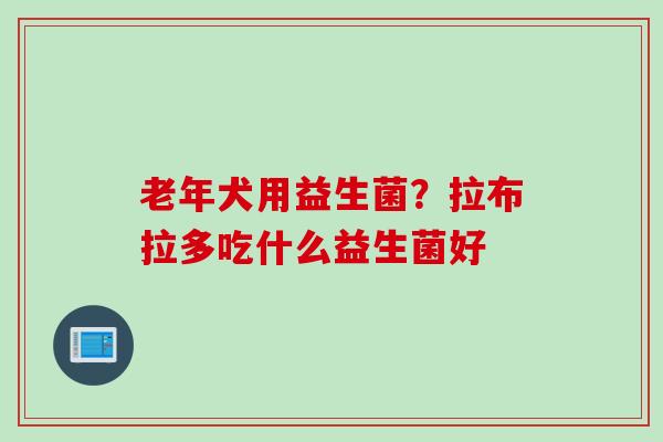 老年犬用益生菌？拉布拉多吃什么益生菌好