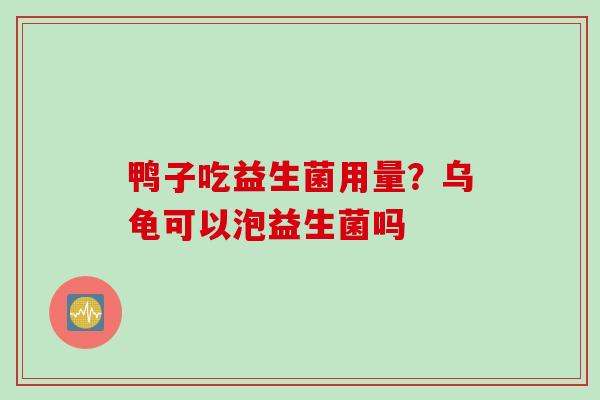 鸭子吃益生菌用量?乌龟可以泡益生菌吗 鸭子吃益生菌用量?乌龟可以泡益生菌吗