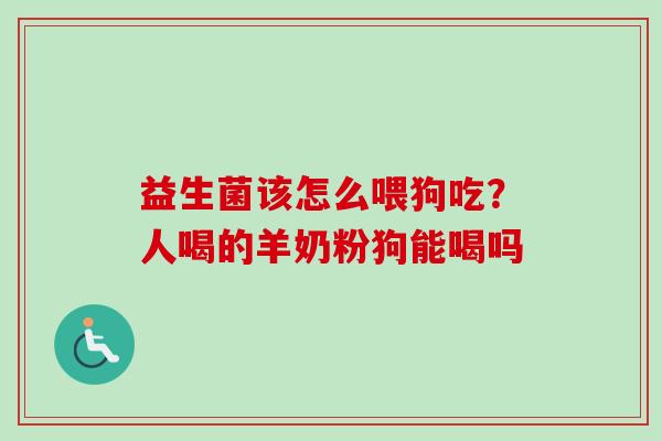 益生菌该怎么喂狗吃？人喝的羊奶粉狗能喝吗