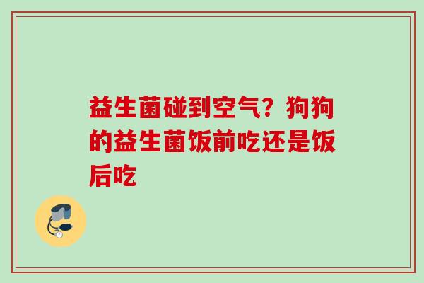 益生菌碰到空气?狗狗的益生菌饭前吃还是饭后吃 益生菌碰到空气?狗狗的益生菌饭前吃还是饭后吃