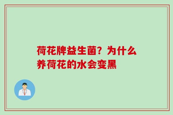 荷花牌益生菌?为什么养荷花的水会变黑 荷花牌益生菌?为什么养荷花的水会变黑