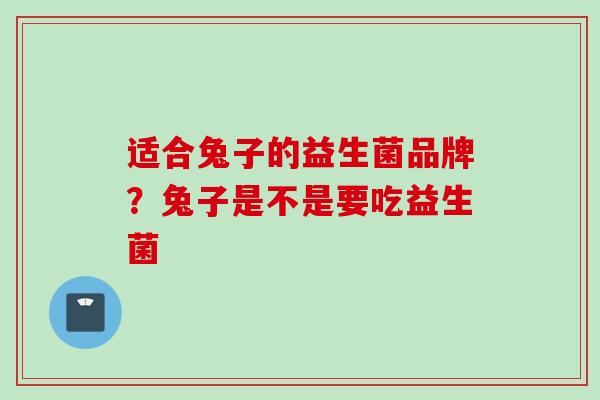 适合兔子的益生菌品牌?兔子是不是要吃益生菌 适合兔子的益生菌品牌?兔子是不是要吃益生菌