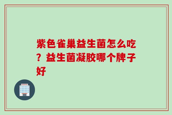 紫色雀巢益生菌怎么吃?益生菌凝胶哪个牌子好 紫色雀巢益生菌怎么吃?益生菌凝胶哪个牌子好