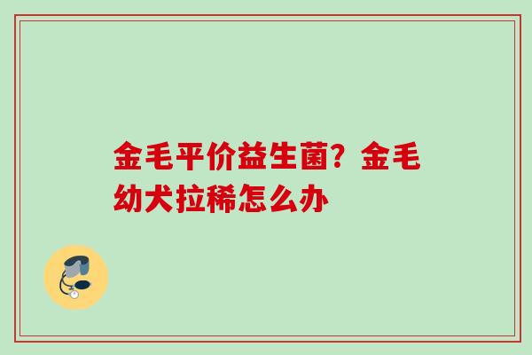 金毛平价益生菌?金毛幼犬拉稀怎么办 金毛平价益生菌?金毛幼犬拉稀怎么办