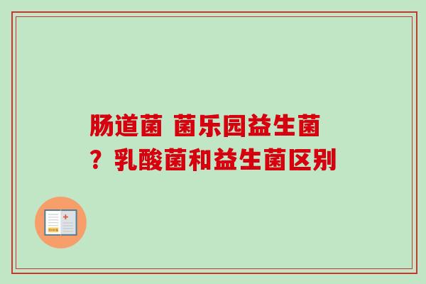 肠道菌 菌乐园益生菌？乳酸菌和益生菌区别