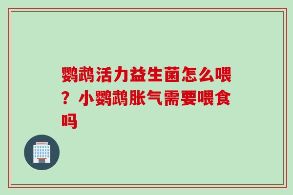 鹦鹉活力益生菌怎么喂？小鹦鹉需要喂食吗