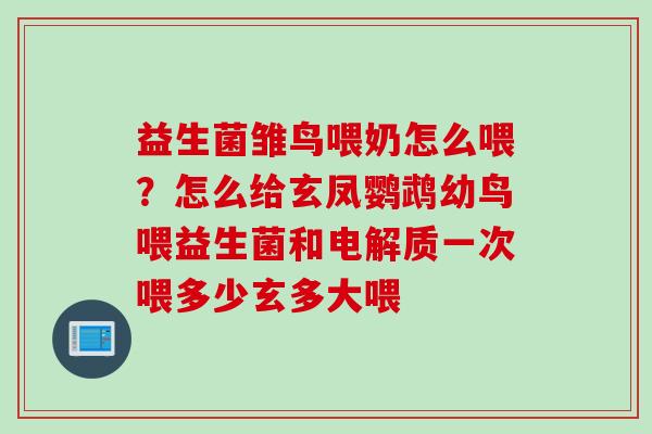 益生菌雏鸟喂奶怎么喂？怎么给玄凤鹦鹉幼鸟喂益生菌和电解质一次喂多少玄多大喂