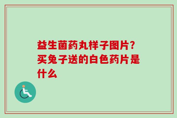 益生菌药丸样子图片？买兔子送的白色药片是什么
