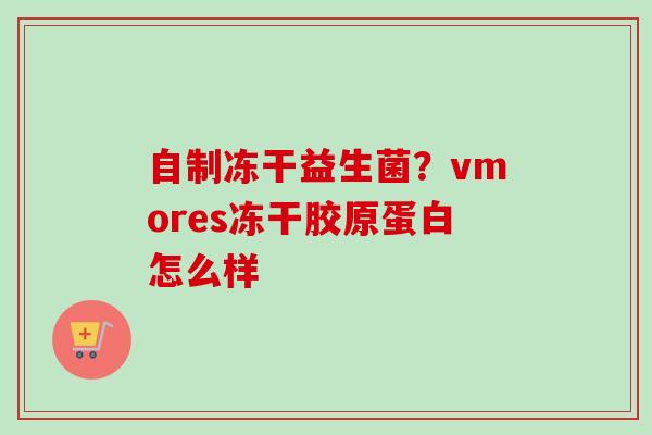 自制冻干益生菌?vmores冻干胶原蛋白怎么样 自制冻干益生菌?vmores冻干胶原蛋白怎么样