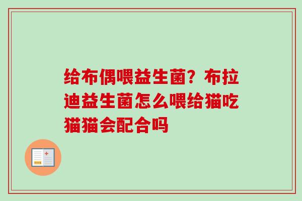 给布偶喂益生菌?布拉迪益生菌怎么喂给猫吃猫猫会配合吗 给布偶喂益生菌?布拉迪益生菌怎么喂给猫吃猫猫会配合吗