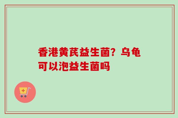 香港黄芪益生菌？乌龟可以泡益生菌吗