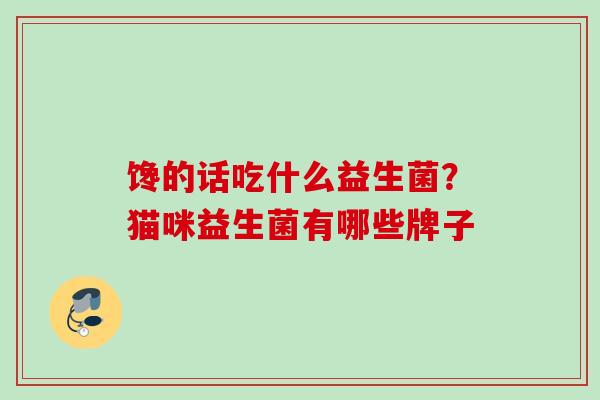馋的话吃什么益生菌？猫咪益生菌有哪些牌子