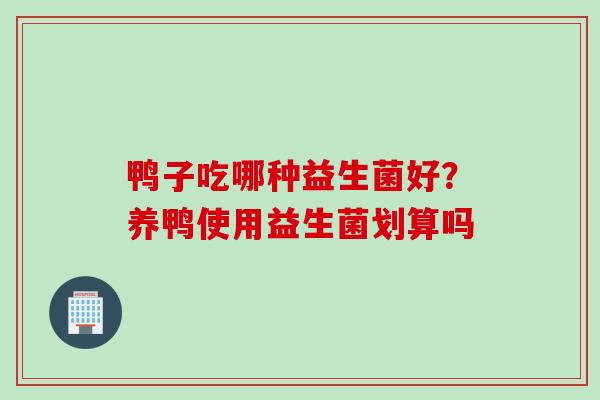 鸭子吃哪种益生菌好?养鸭使用益生菌划算吗 鸭子吃哪种益生菌好?养鸭使用益生菌划算吗