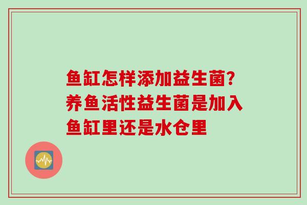 鱼缸怎样添加益生菌?养鱼活性益生菌是加入鱼缸里还是水仓里 鱼缸怎样添加益生菌?养鱼活性益生菌是加入鱼缸里还是水仓里