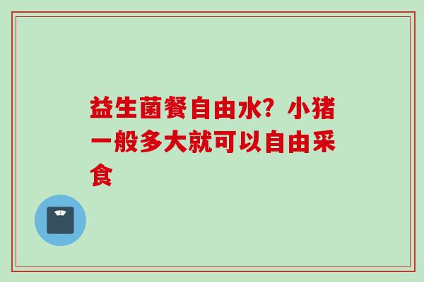 益生菌餐自由水?小猪一般多大就可以自由采食 益生菌餐自由水?小猪一般多大就可以自由采食