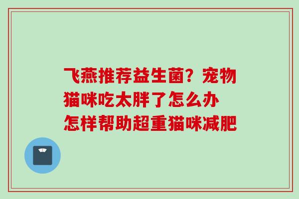 飞燕推荐益生菌？宠物猫咪吃太胖了怎么办 怎样帮助超重猫咪