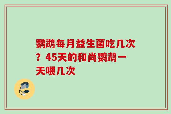 鹦鹉每月益生菌吃几次？45天的和尚鹦鹉一天喂几次