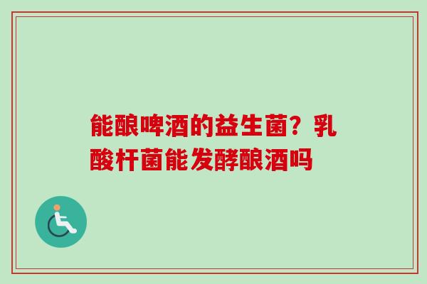 能酿啤酒的益生菌？乳酸杆菌能发酵酿酒吗