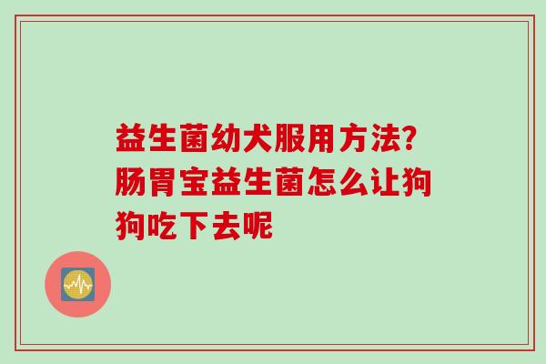 益生菌幼犬服用方法？肠胃宝益生菌怎么让狗狗吃下去呢