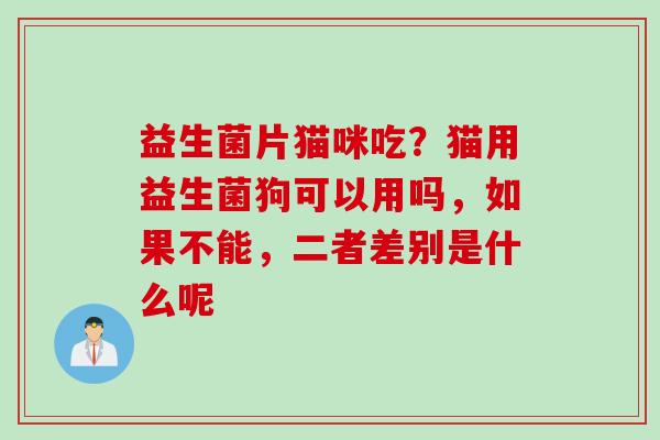 益生菌片猫咪吃？猫用益生菌狗可以用吗，如果不能，二者差别是什么呢