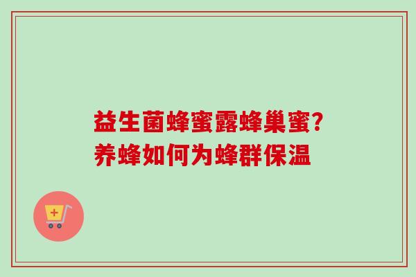 益生菌蜂蜜露蜂巢蜜？养蜂如何为蜂群保温