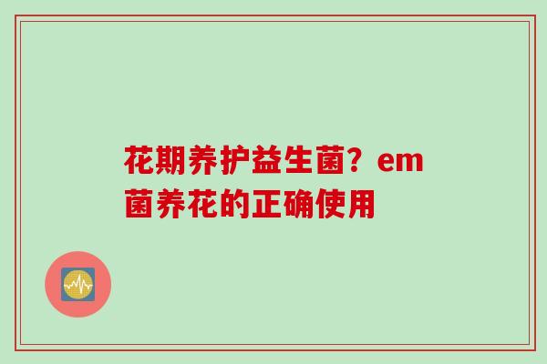 花期养护益生菌？em菌养花的正确使用