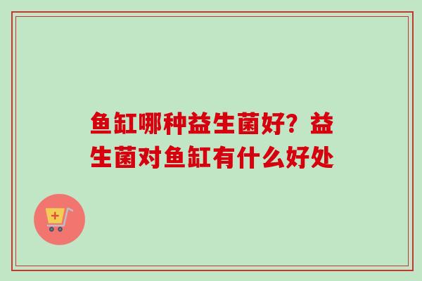 鱼缸哪种益生菌好？益生菌对鱼缸有什么好处
