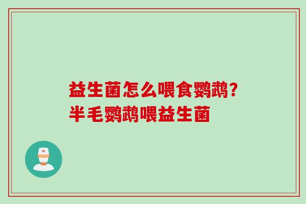 益生菌怎么喂食鹦鹉?半毛鹦鹉喂益生菌 益生菌怎么喂食鹦鹉?半毛鹦鹉喂益生菌