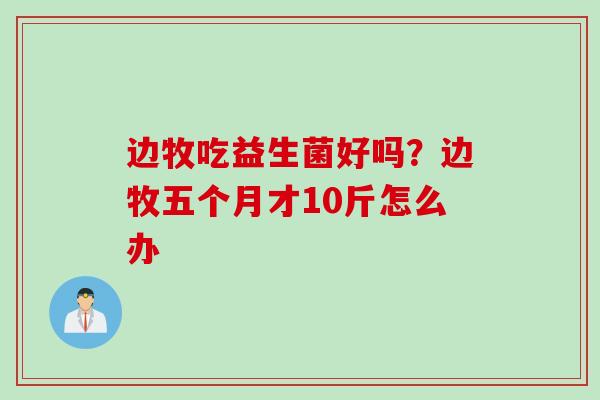 边牧吃益生菌好吗？边牧五个月才10斤怎么办