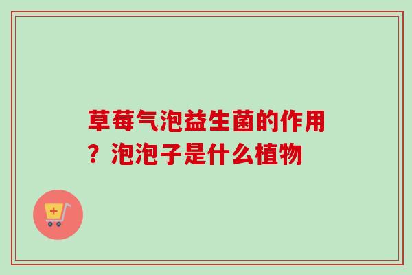 草莓气泡益生菌的作用?泡泡子是什么植物 草莓气泡益生菌的作用?泡泡子是什么植物