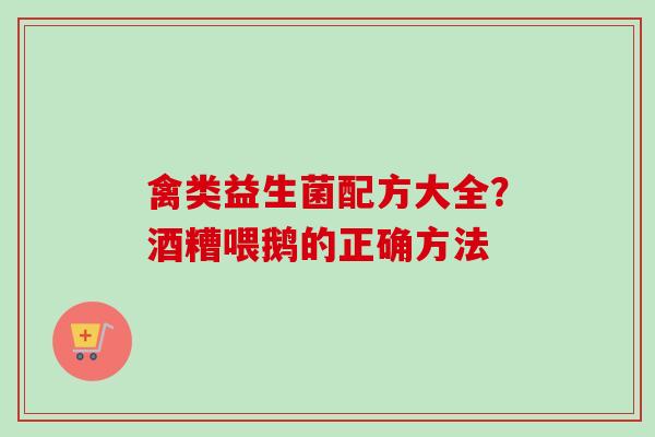 禽类益生菌配方大全?酒糟喂鹅的正确方法 禽类益生菌配方大全?酒糟喂鹅的正确方法