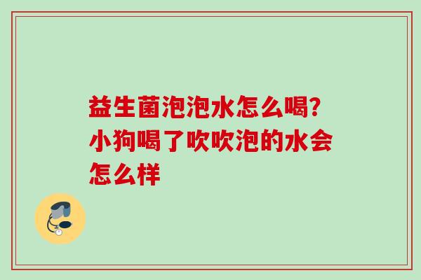 益生菌泡泡水怎么喝？小狗喝了吹吹泡的水会怎么样