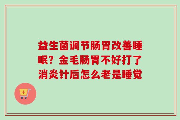 益生菌调节肠胃改善？金毛肠胃不好打了针后怎么老是睡觉