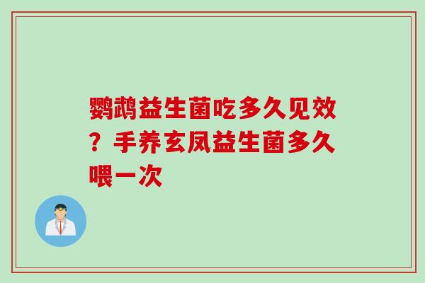 鹦鹉益生菌吃多久见效?手养玄凤益生菌多久喂一次 鹦鹉益生菌吃多久见效?手养玄凤益生菌多久喂一次